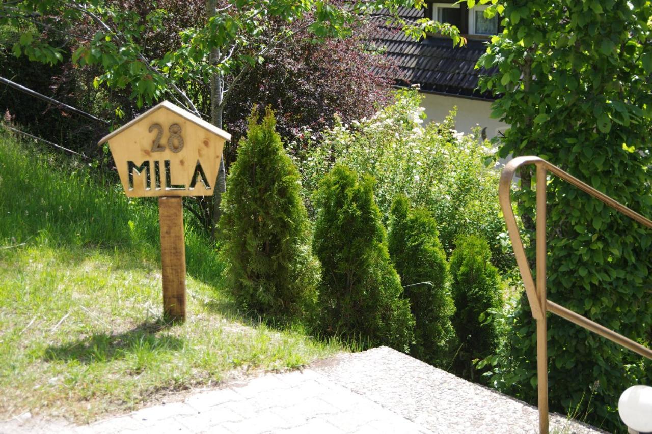 Ferienwohnung " Mila" In Schwarzwald Near Titisee Oberbrand Buitenkant foto